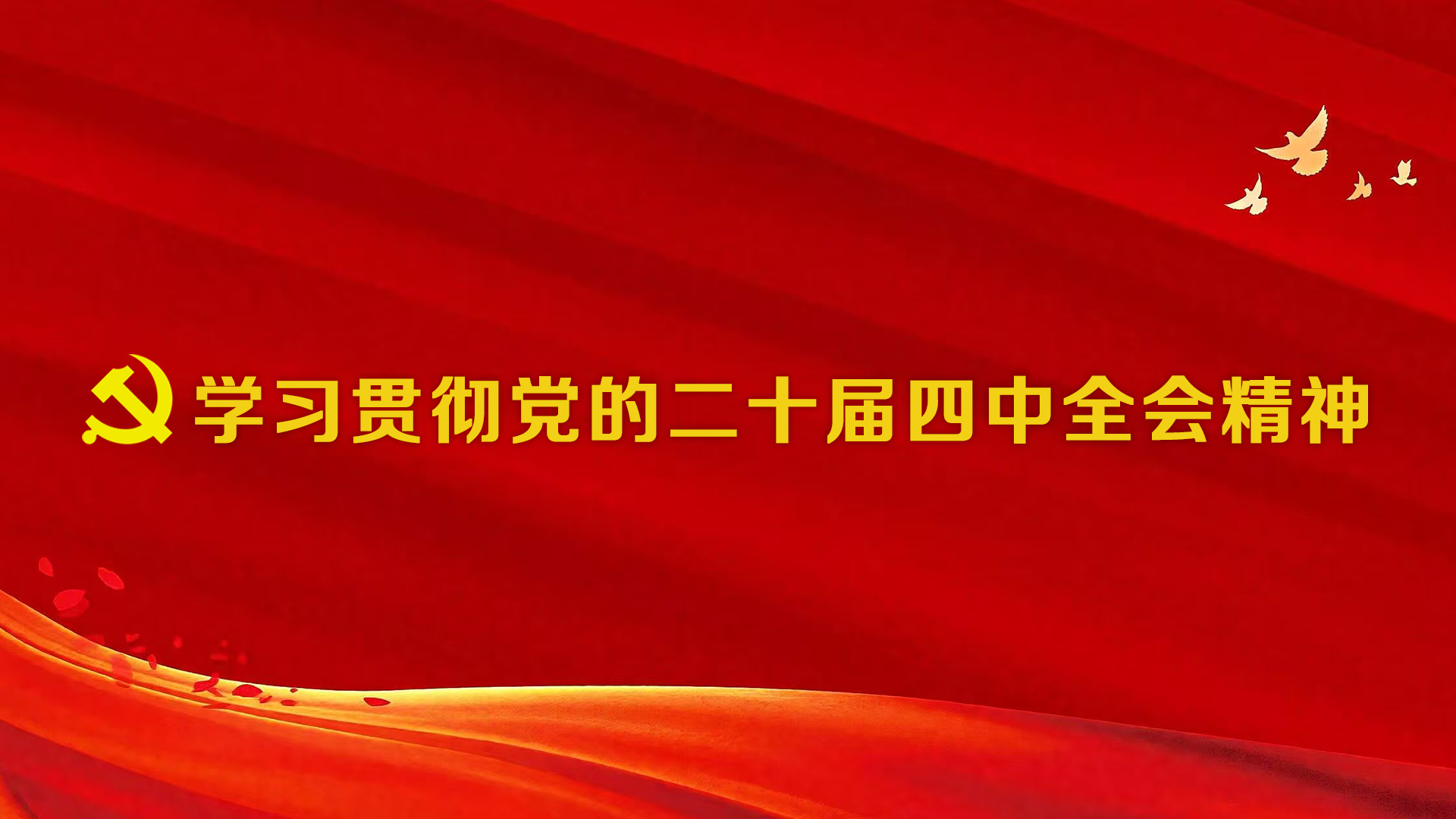 学习贯彻党的二十届四中全会精神
